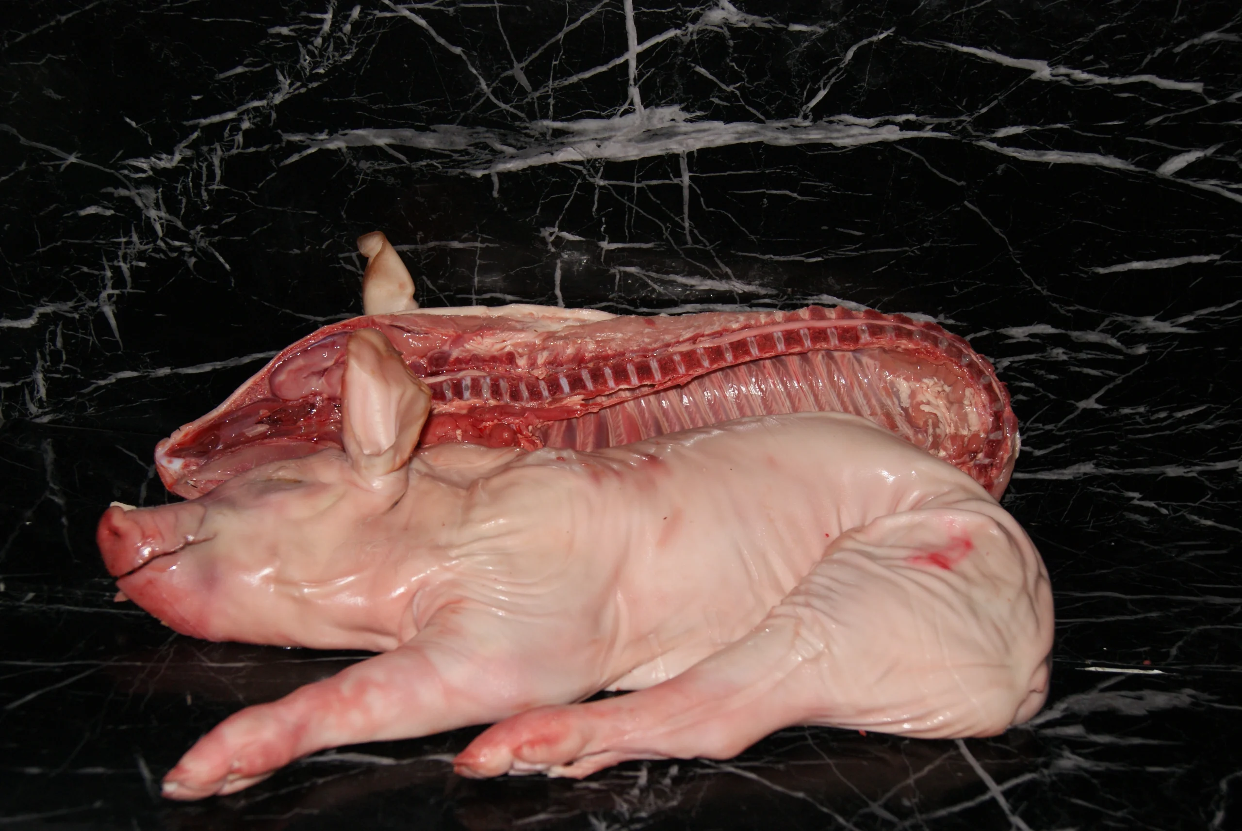 Cochinillo 2